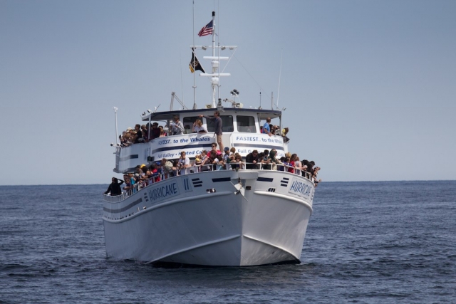 barco nayarit