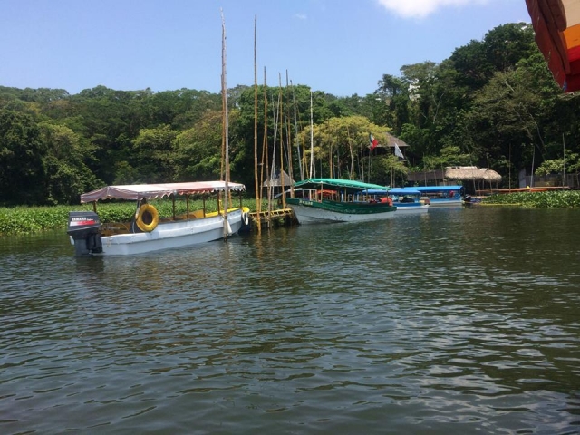 Paseo en lancha