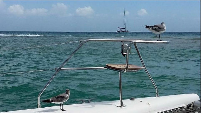 viaje en vela quintana roo 
