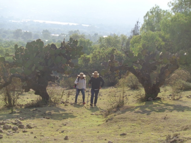 Caminatas en pareja