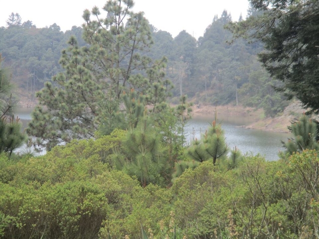 Vista en las alturas