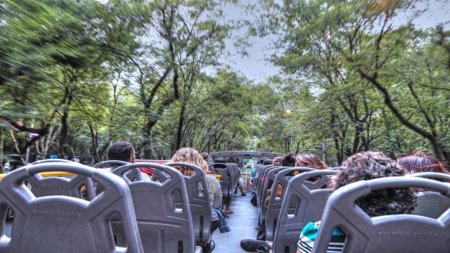 turibus