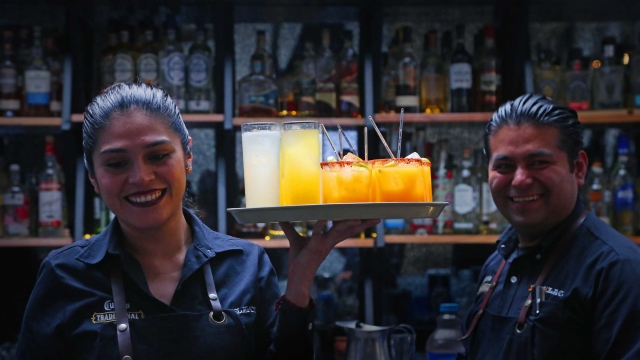 coctelererererereres en cantina