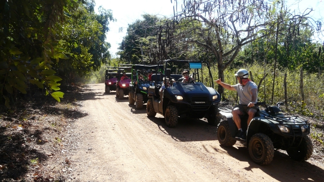 visita guiada guiado