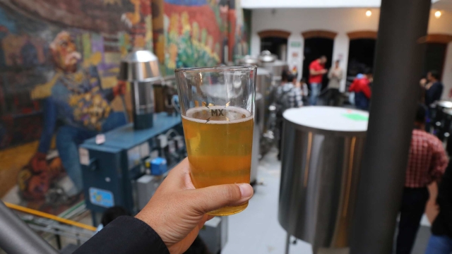elaboracion de cerveza