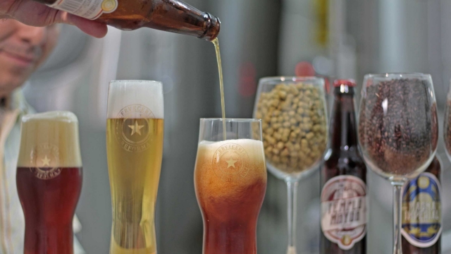 Probando cervezas