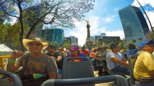 Disfrutando del paseo