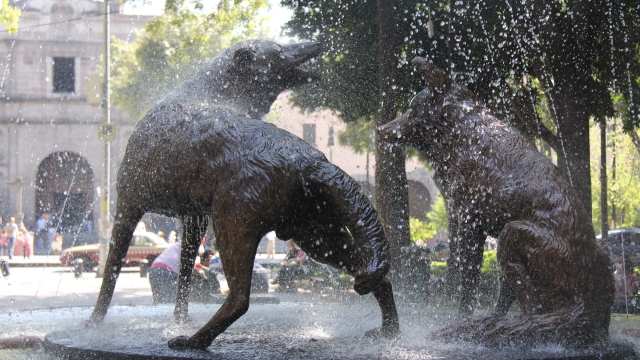 Fuente en el centro