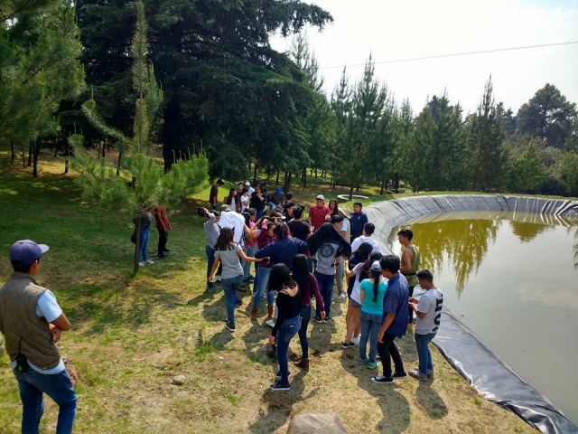 Distintas actividaderes
