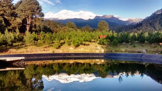 El lago en el bosque