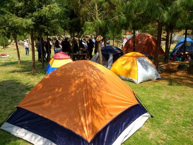 Armado de casas