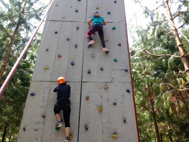 Muro de escalada
