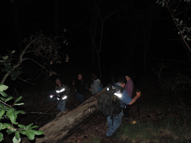 caminatas en equipo