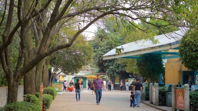 parque chapultepec