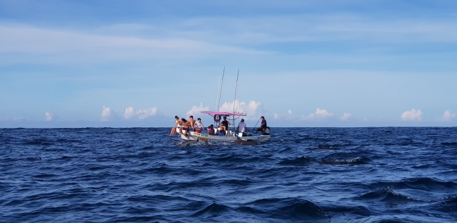 Navega en puerto escondido en barco 