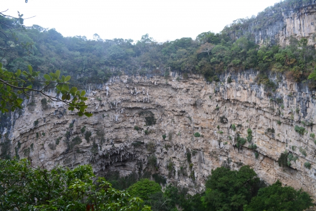 montaña de las cotorras
