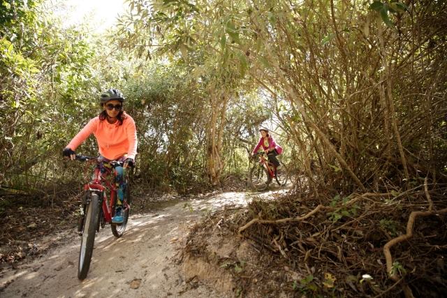 actividaderererereres en bicis