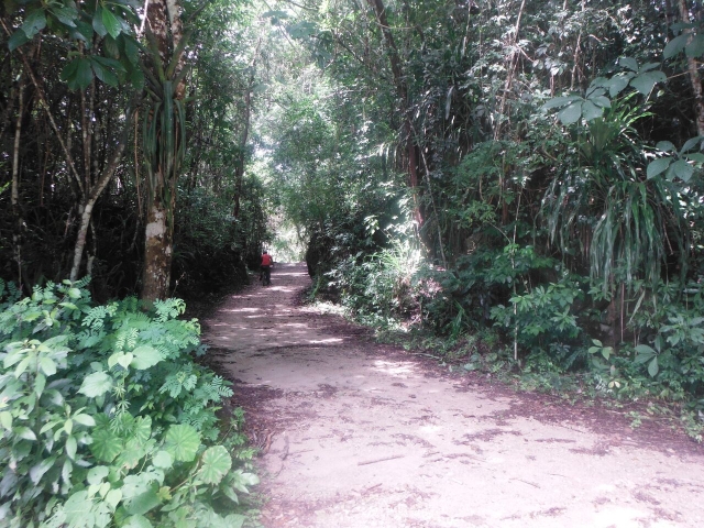 Senderos entre naturaleza