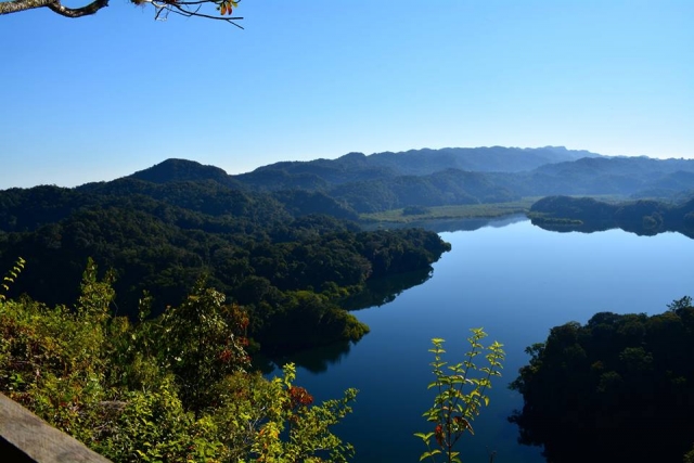 Vista del río 