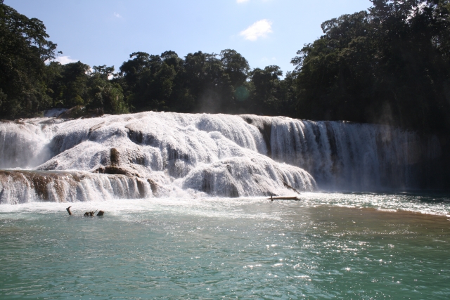 Disfruta de las cascadas