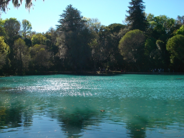 Panorama bosque 