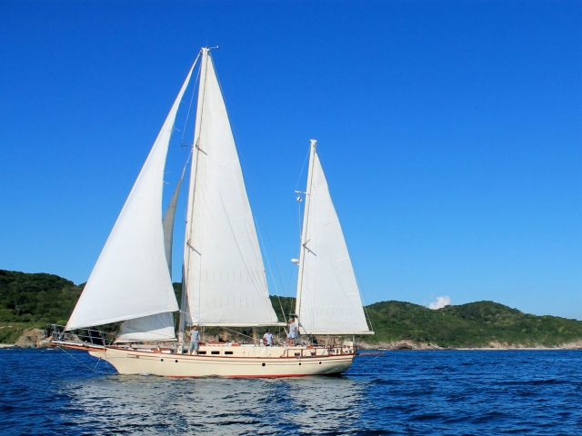 Paseo en velero