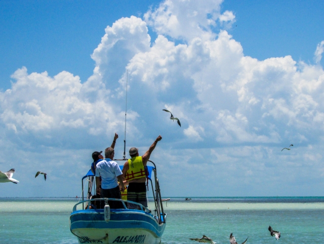 Visita guiada a Isla Holbox con transporte y comida