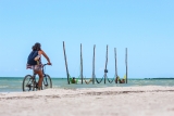 Visita guiada a Holbox con comida y traslado precio Niños