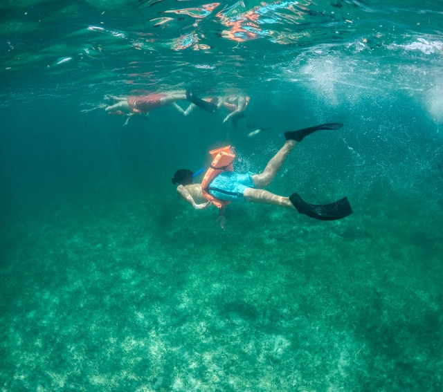 Snorkel en Isla mujeternera