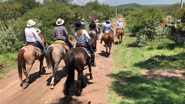 Ruta a caballo Familiar3