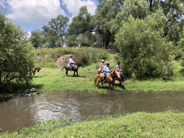 Foto Ruta a caballo