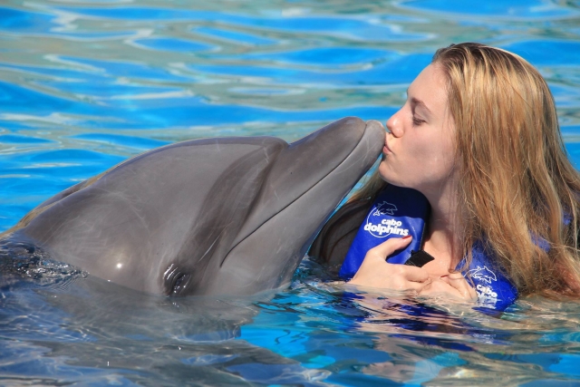 beso de delfin