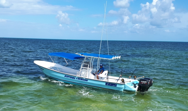 Visitas guiadas privados