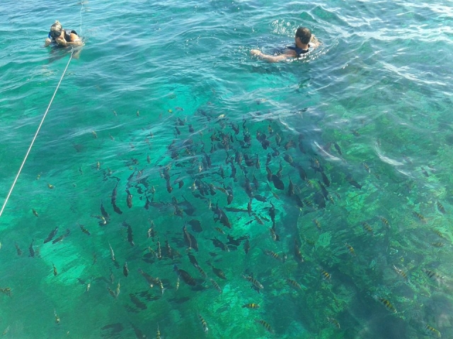 Reliza snorkel