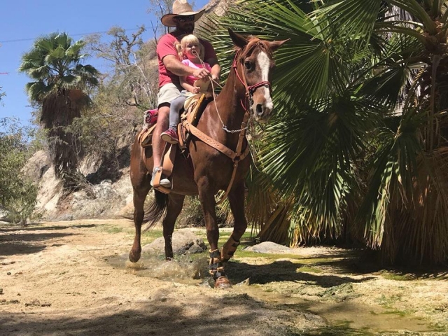 Disfruta de una actividad rodeado de naturaleza