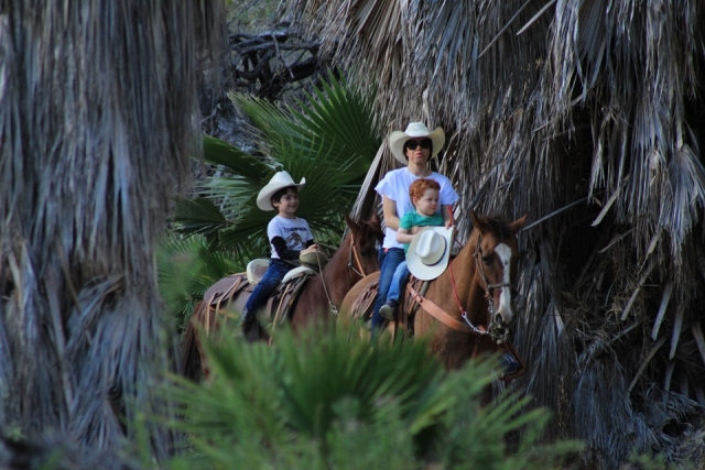 Los más pequeños disfrutarán al máximo de este paseo