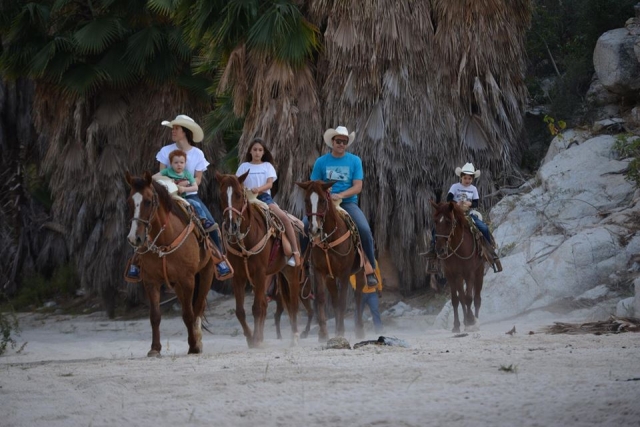 Ruta a caballo en los Cabos