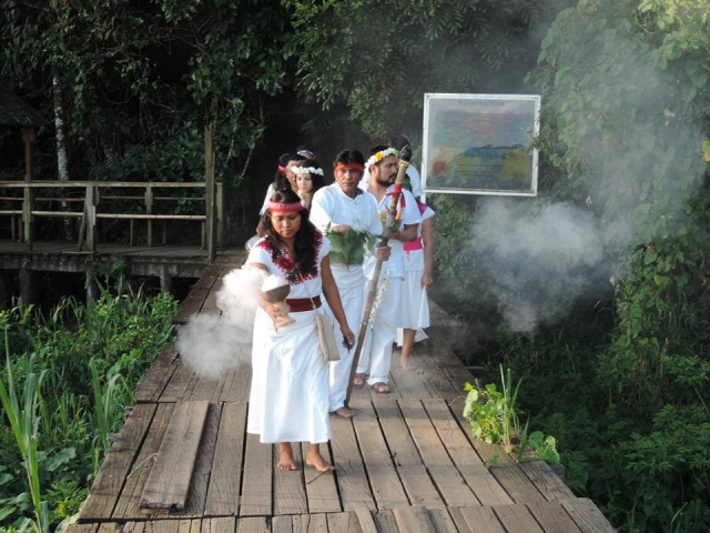 Visita guiada de temazcal