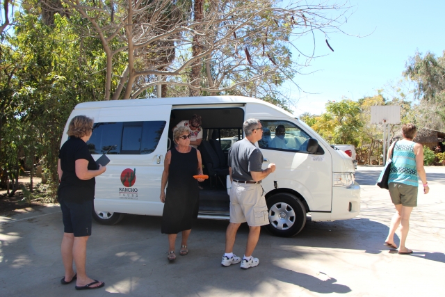 Transportacion en vans