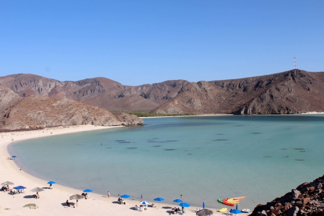 Disfruta la playa