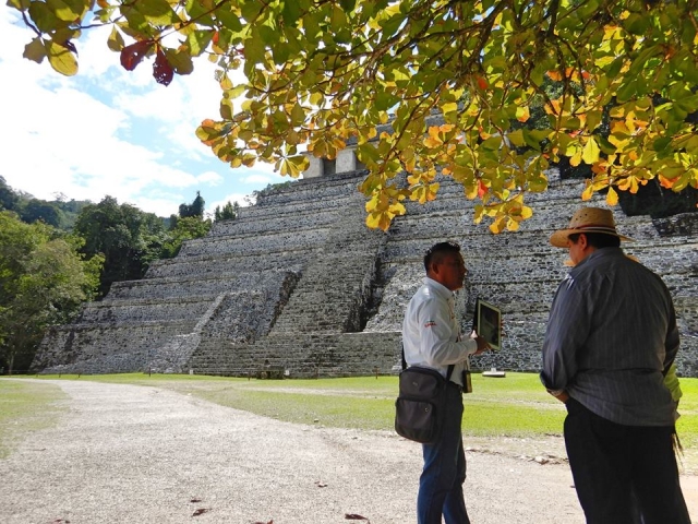 Guias profesionaleres