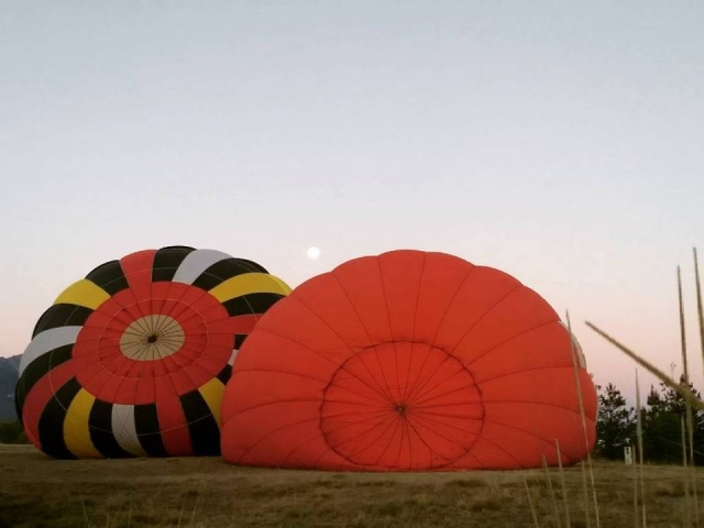 Distintos disenos en globos
