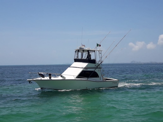 Pesca en bote deportivo Albemarte