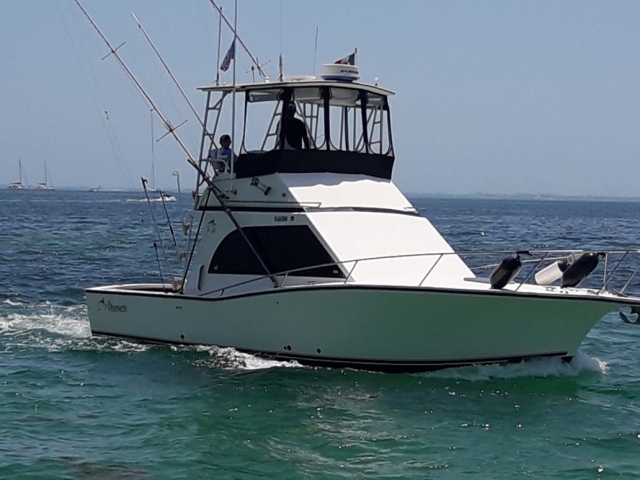 Bote de pesca deportivas Albemarte