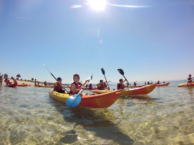 Experiencia para todos