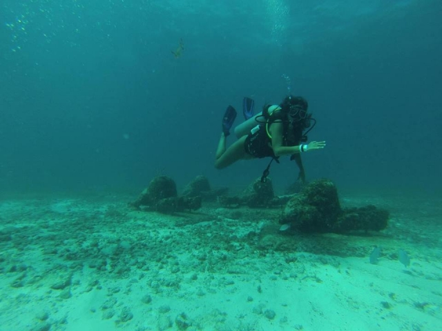 Explora las profundidades del oceano