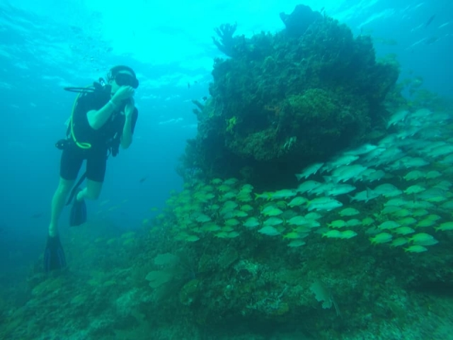Descubre la biodiversidad de la zona