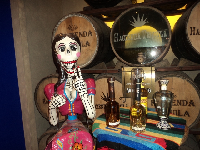 Conoce el proceso del agave azul