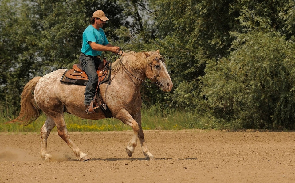 Montando a caballo