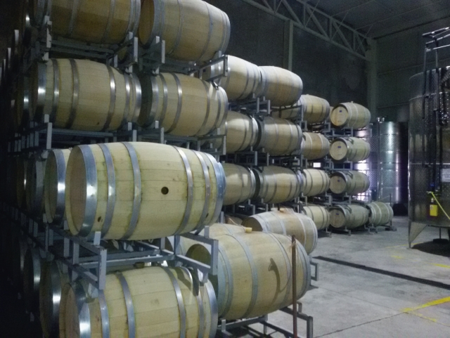 Las barricas del viñedo